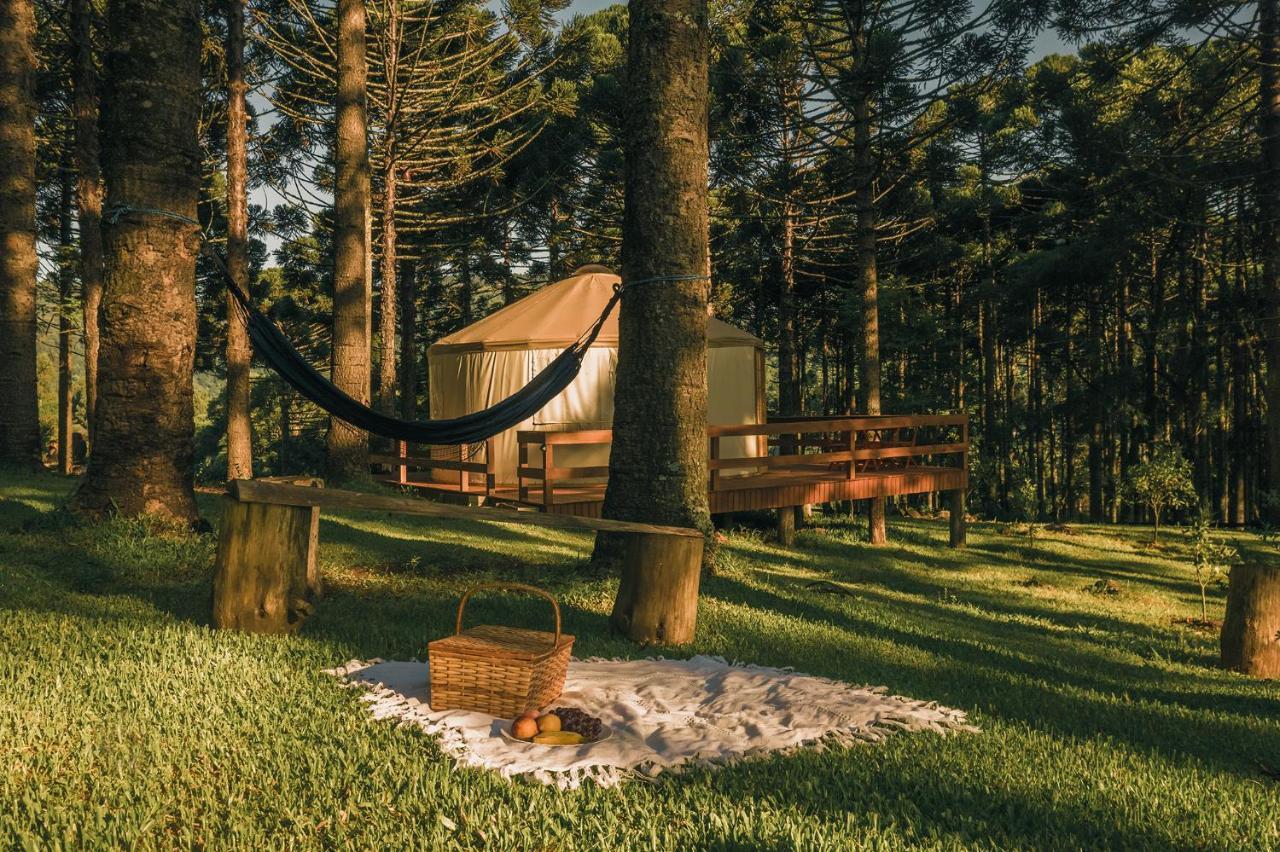 Estancia Las Araucarias Canela Exteriér fotografie
